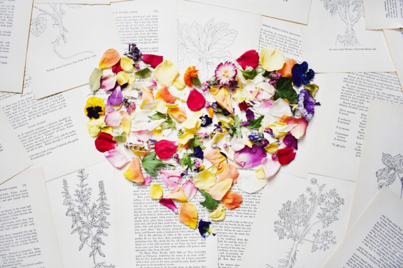 A collection of multi-colored flower peals arranged into the shape of a heart